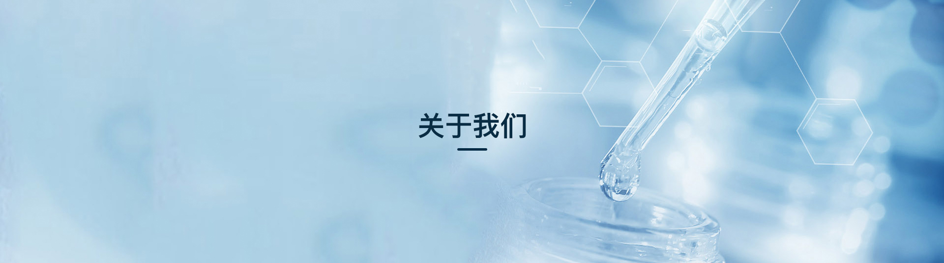 pc端公司簡介banner